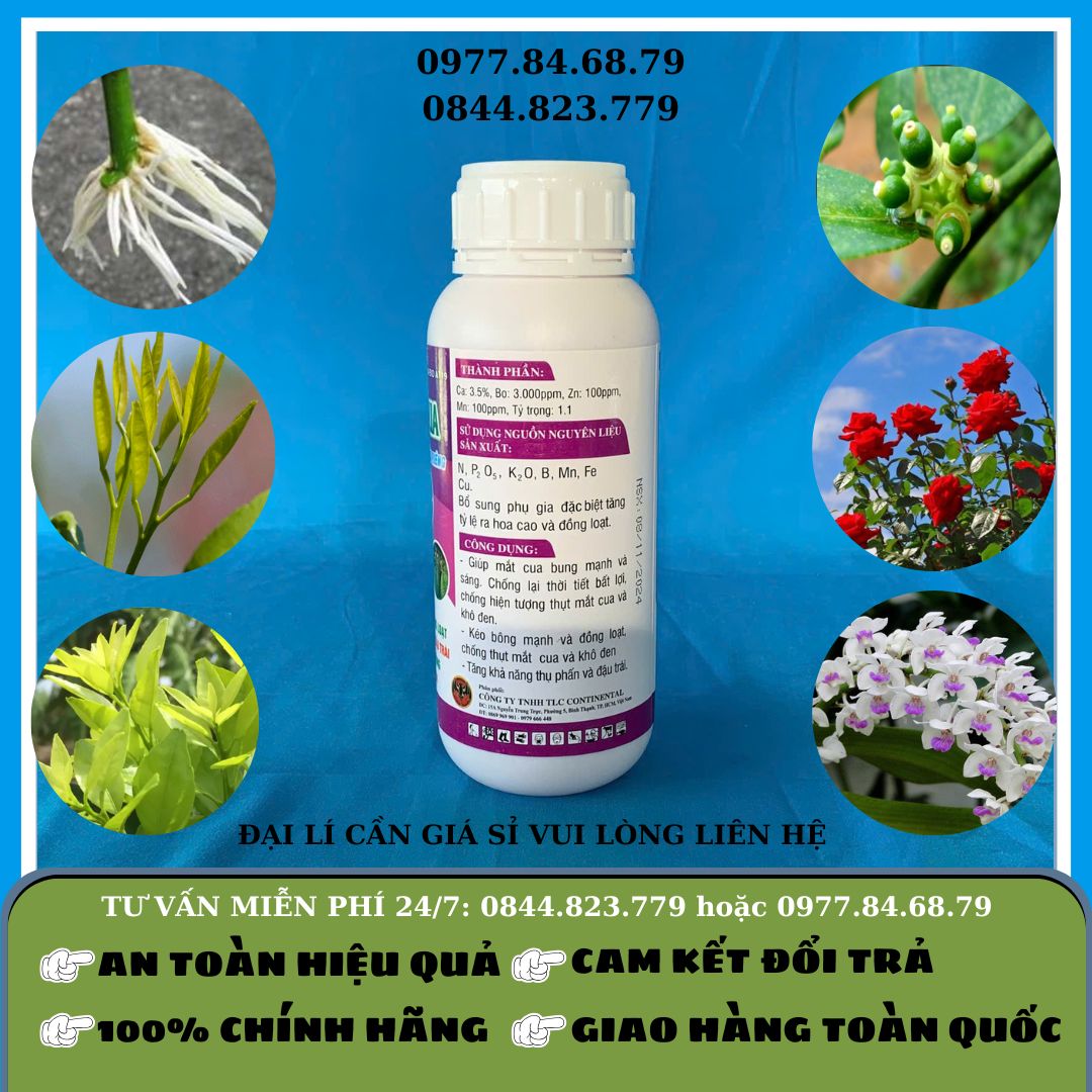 Rước Mắt Cua 500ml