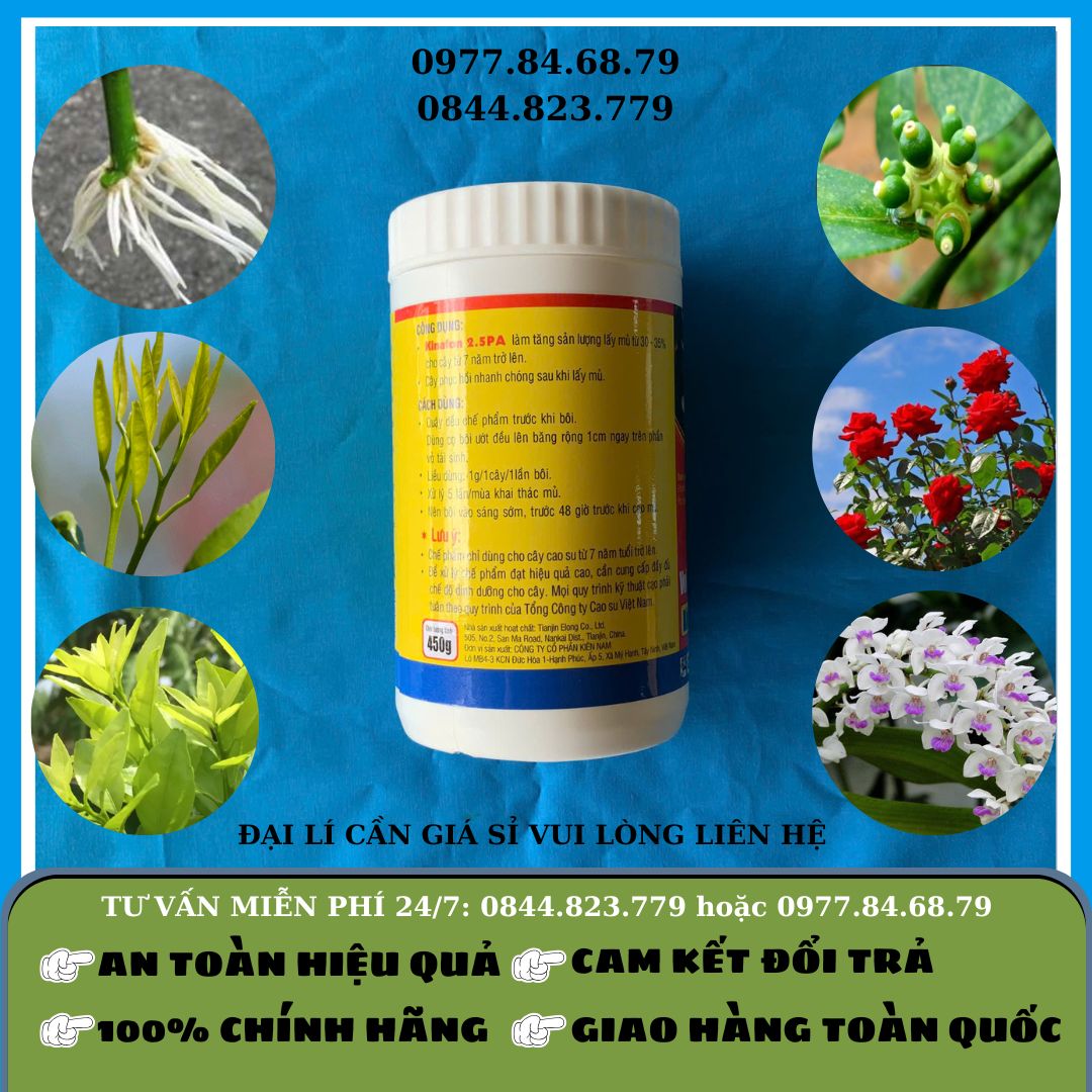 Kinafon 2.5PA (Kích thích mủ cao su)