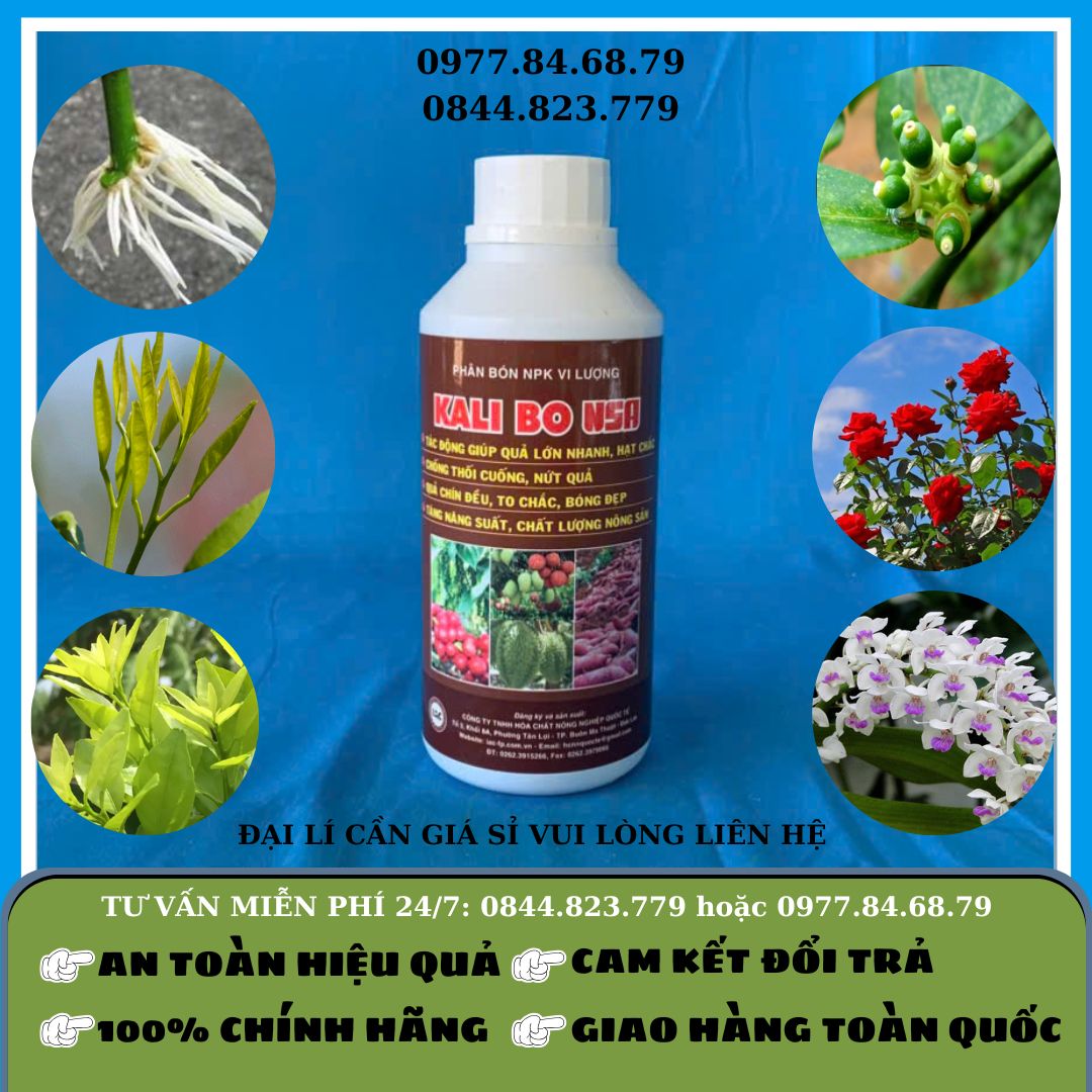 Kali Bo NSA  0.5 lít IAC