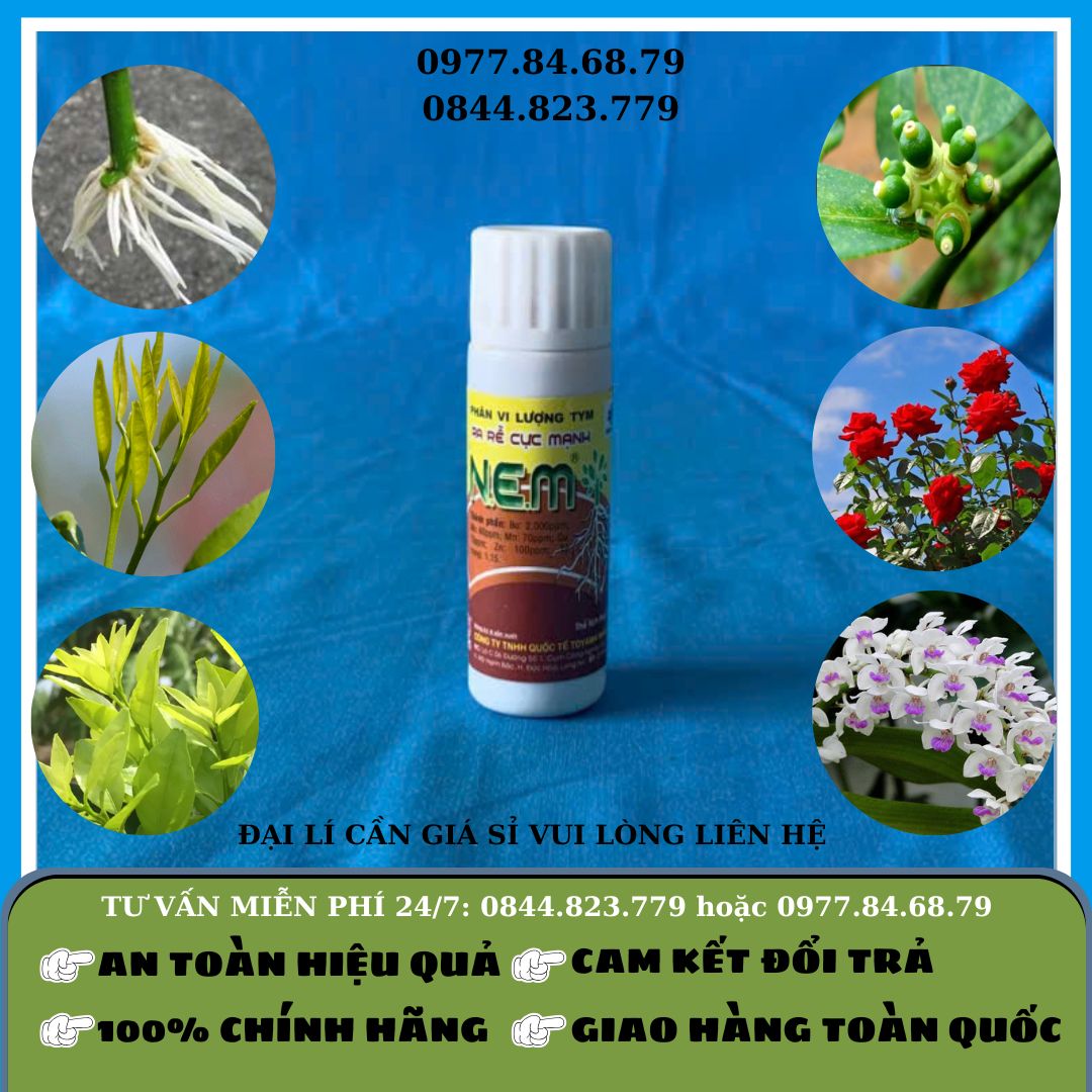 Ra Rễ NEM 25ml