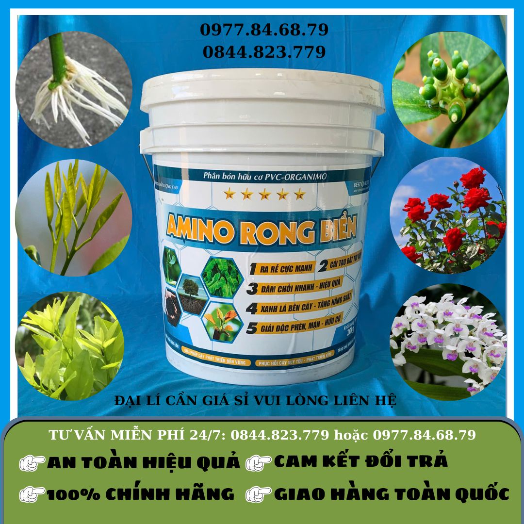 Amino Rong Biển Can 20 lít