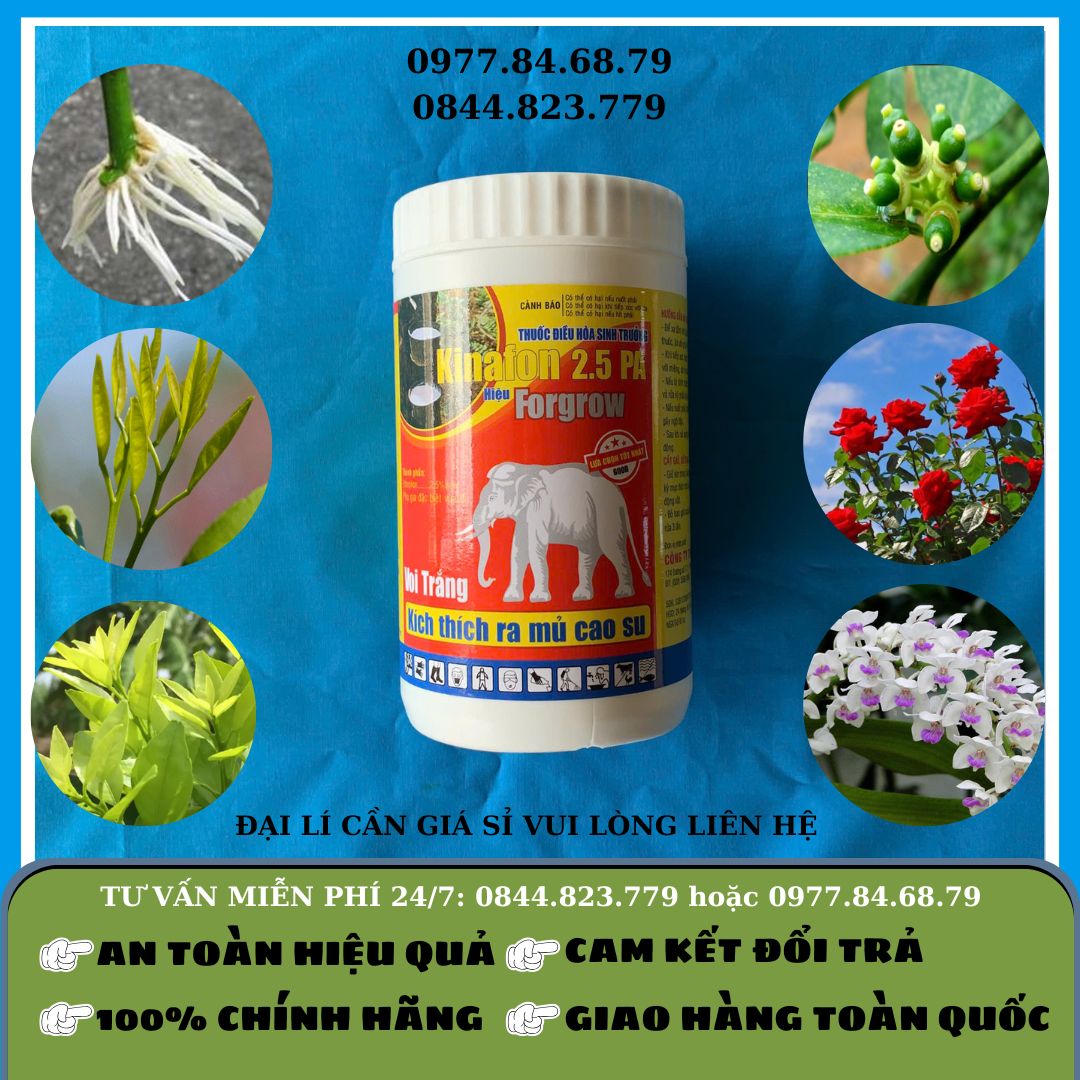 Kinafon 2.5PA (Kích thích mủ cao su)