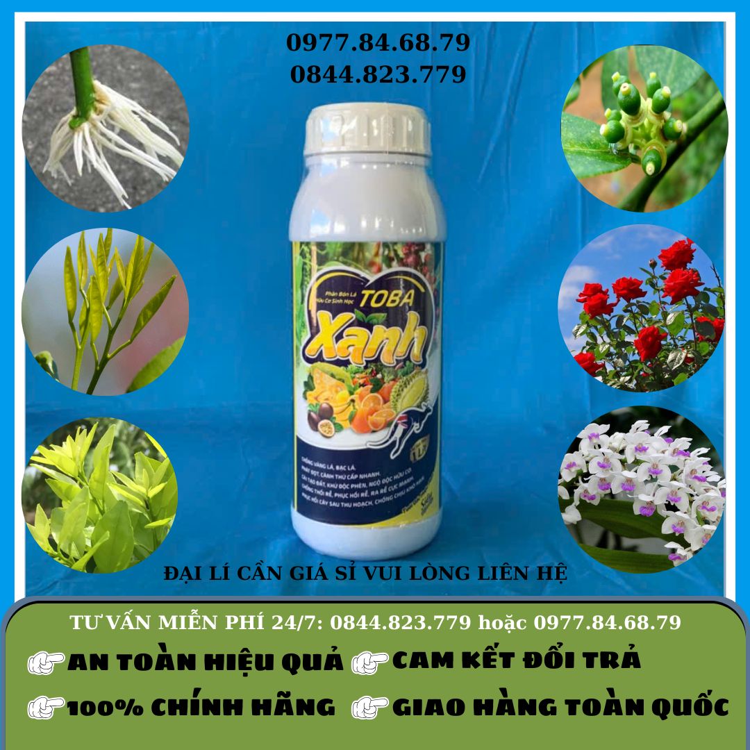 Toba Xanh 1 lít