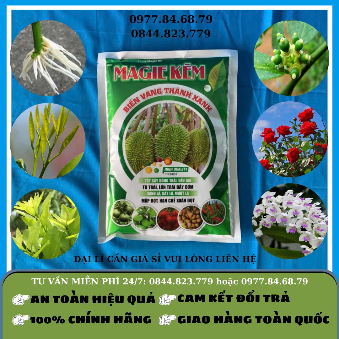 Magie Kẽm 1kg (Canada)