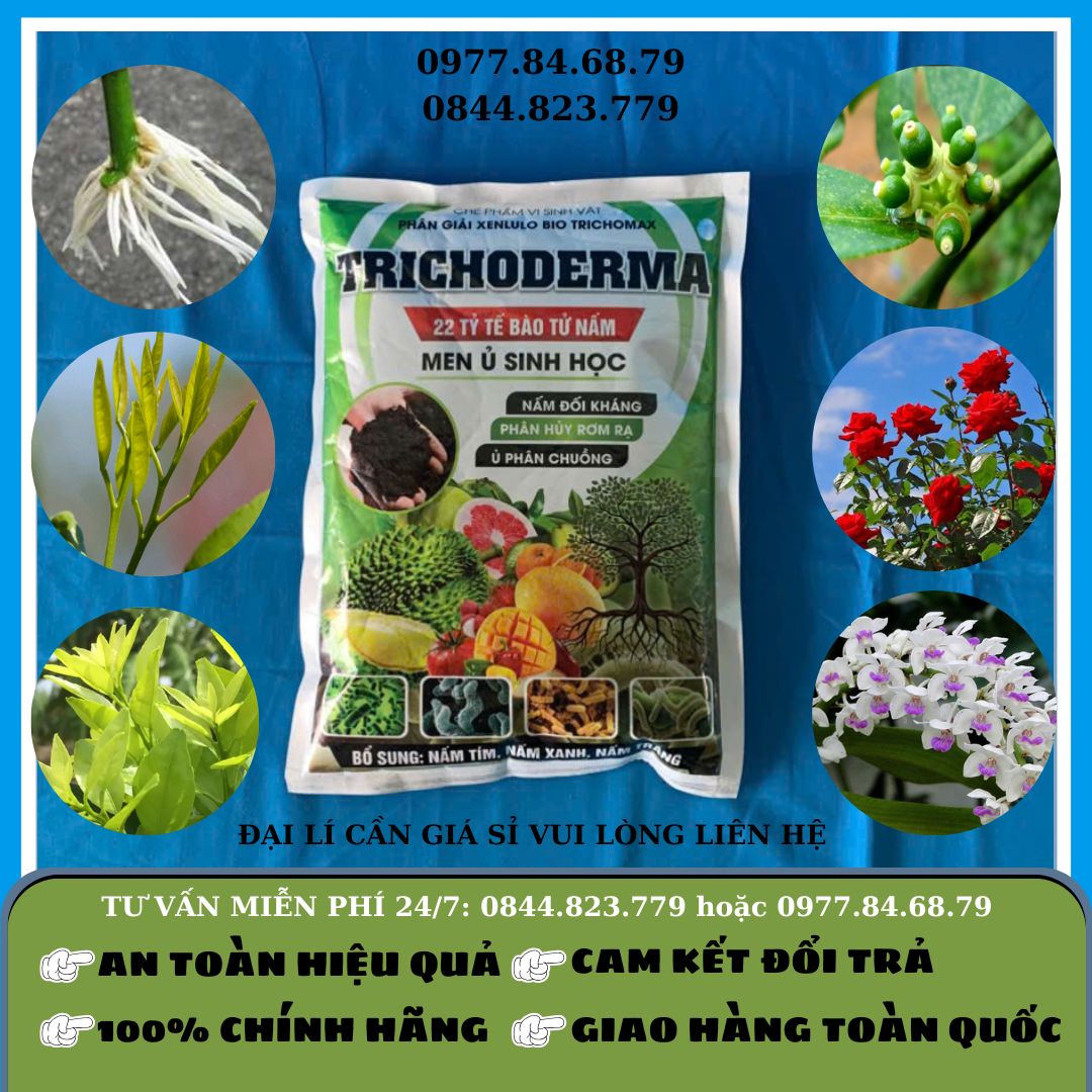 Tricoderma Canada