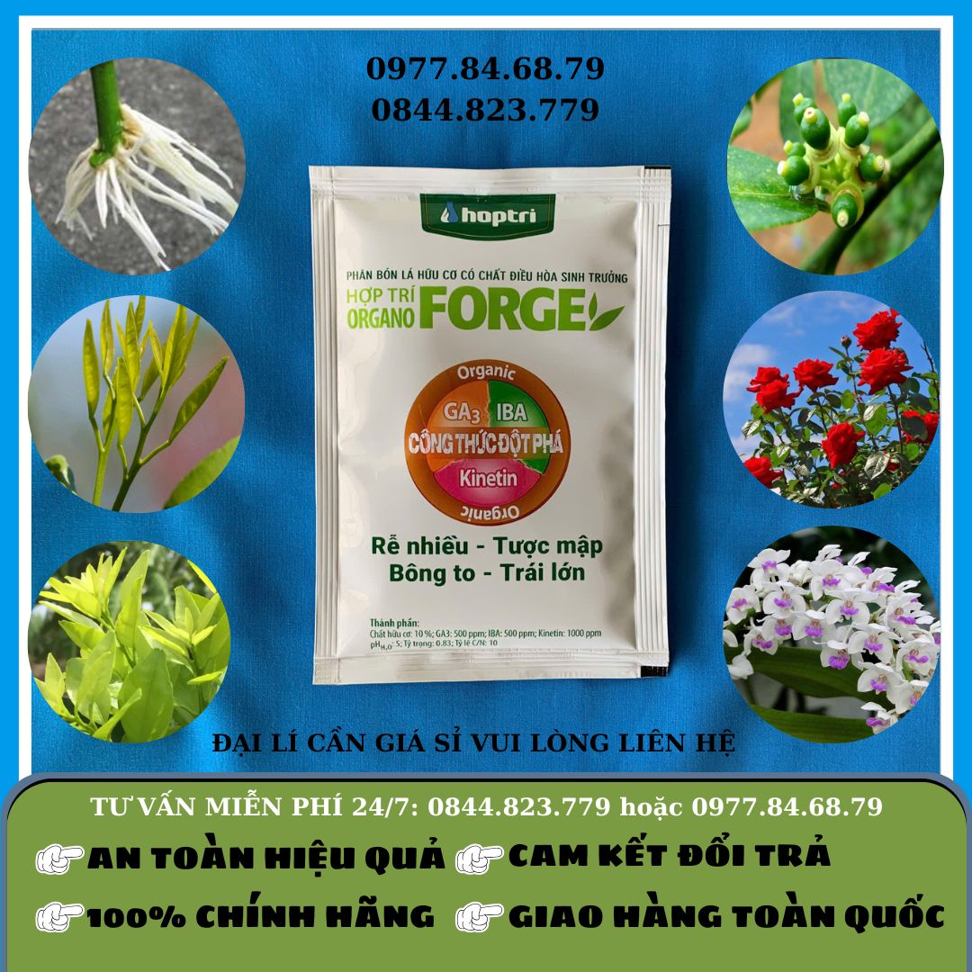 Forge gói 25ml (kích thích sinh trưởng hữu cơ)