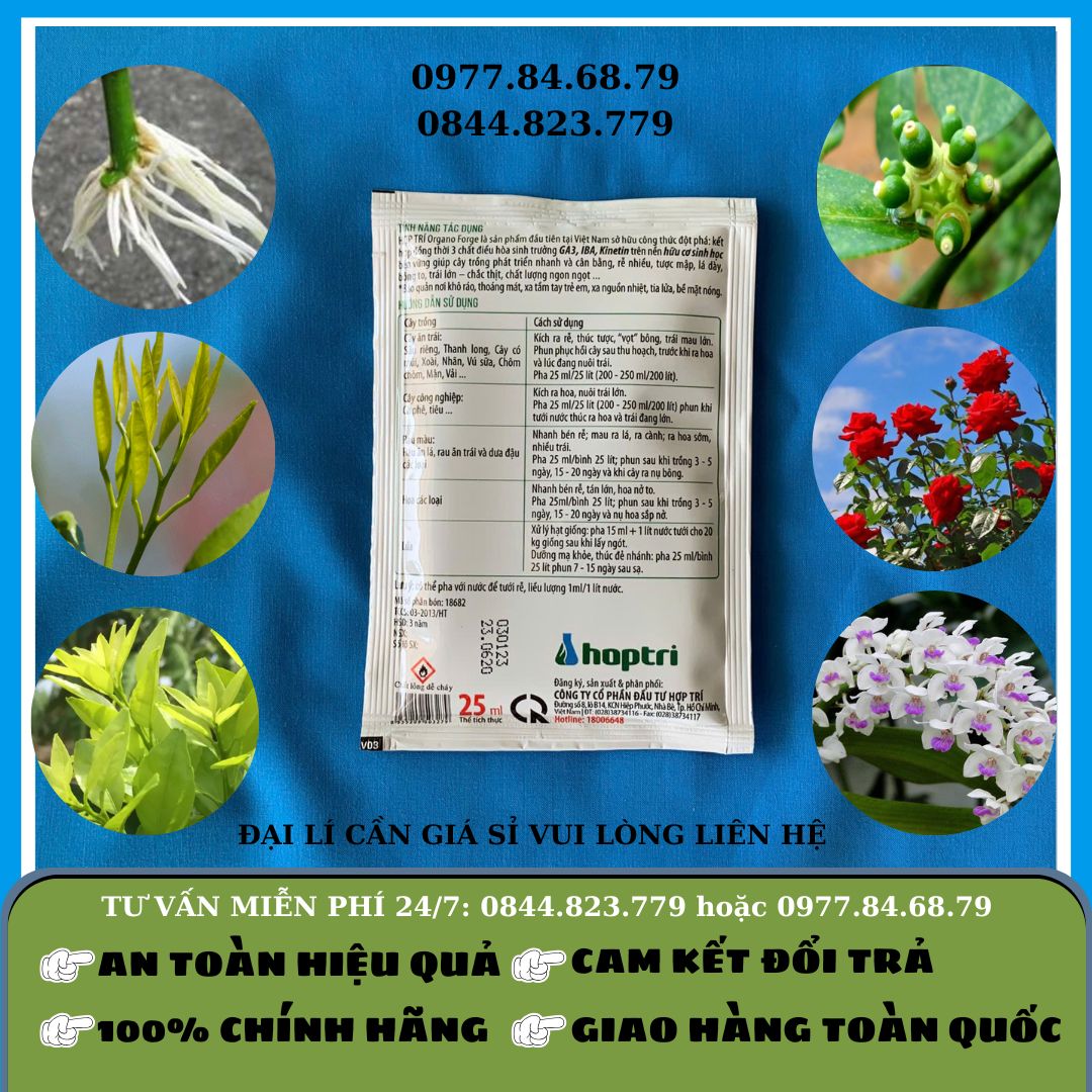 Forge gói 25ml (kích thích sinh trưởng hữu cơ)