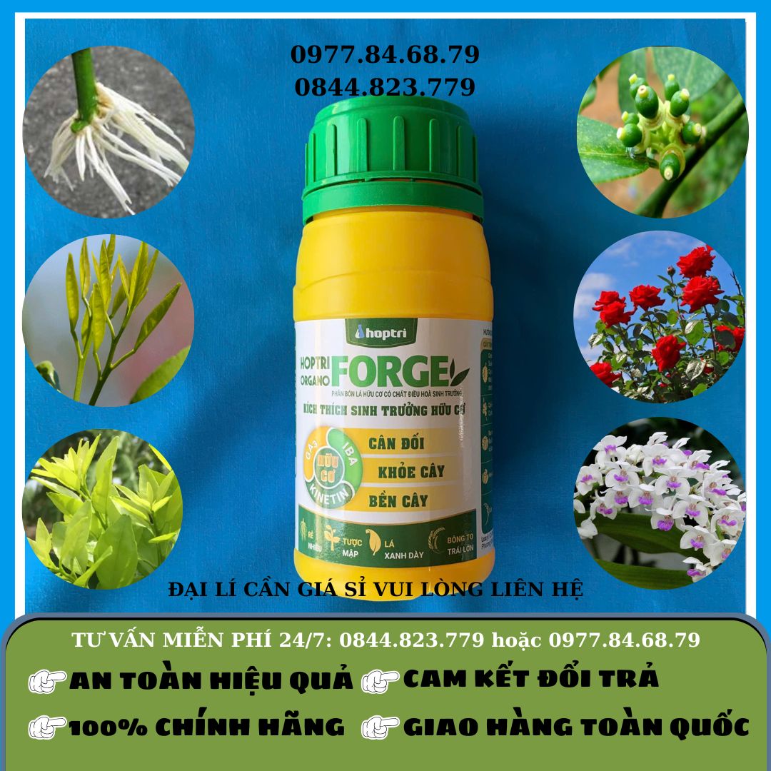 Forge chai 250ml (kích thích sinh trưởng hữu cơ)