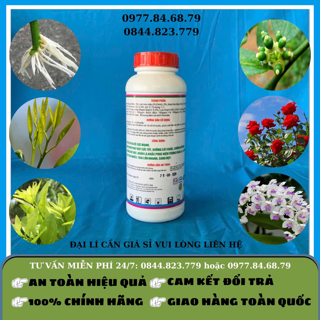 Đạm Cá DC - Caron Quế Lâm SH 05 1 lít