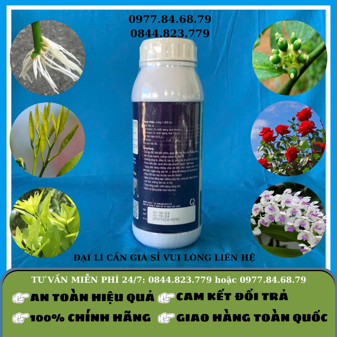 Toba Xanh 1 lít