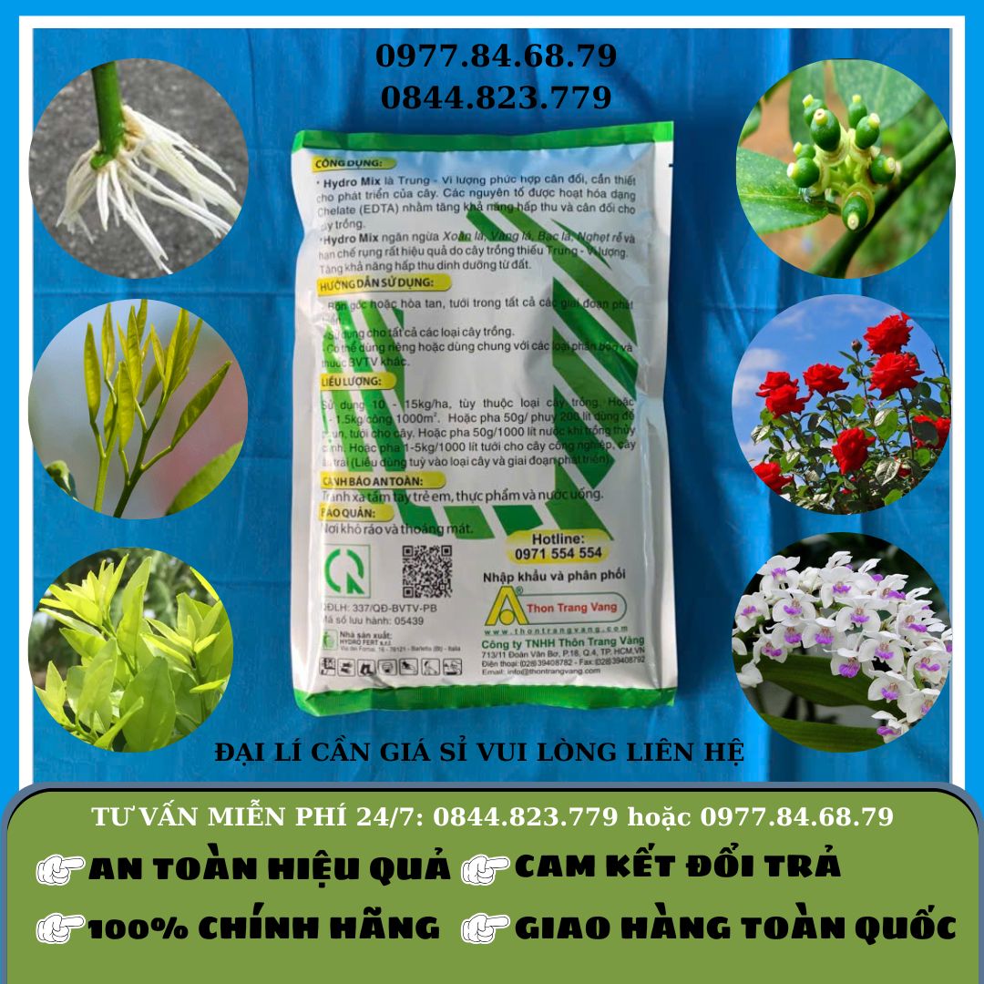 Hydro Mix Trung Vi Lượng 1kg