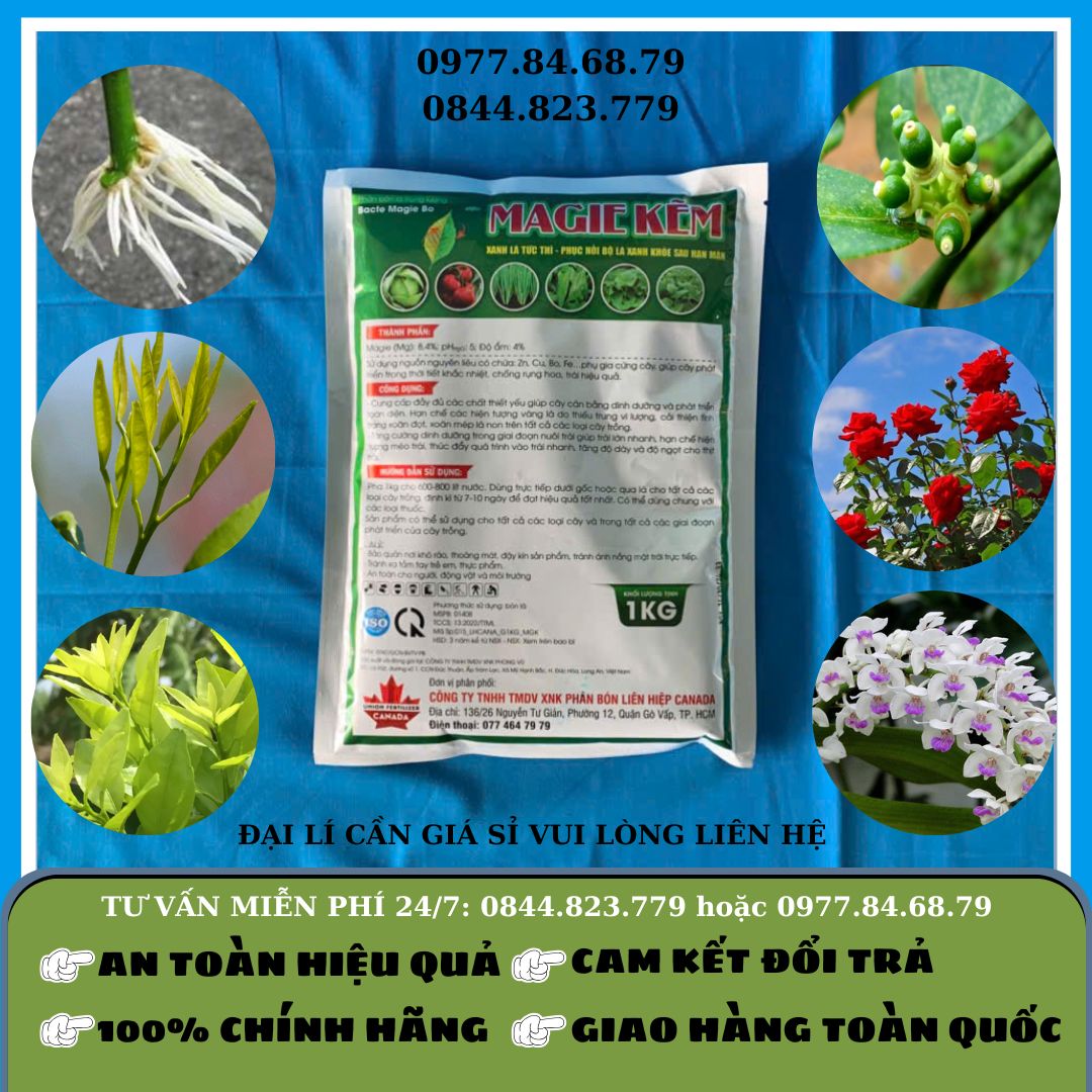 Magie Kẽm 1kg (Canada)