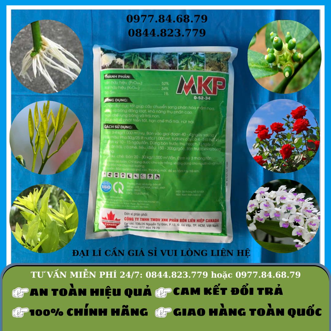 MKP 0-52-34 1kg (Canada)