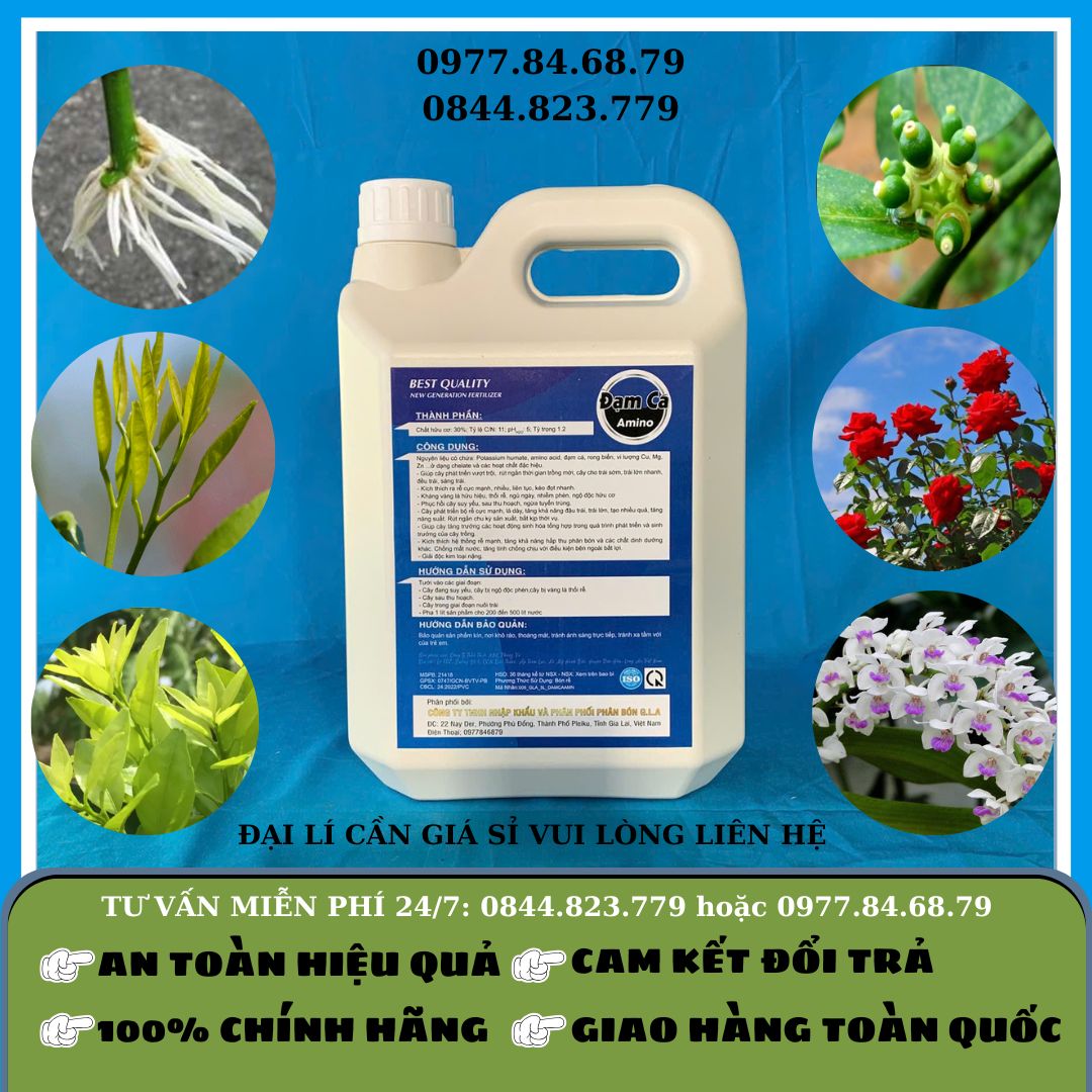 Đạm Cá Amino 5 lít