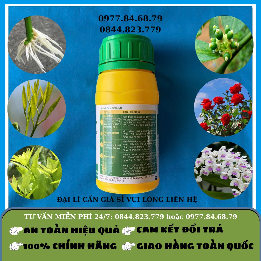 Forge chai 250ml (kích thích sinh trưởng hữu cơ)