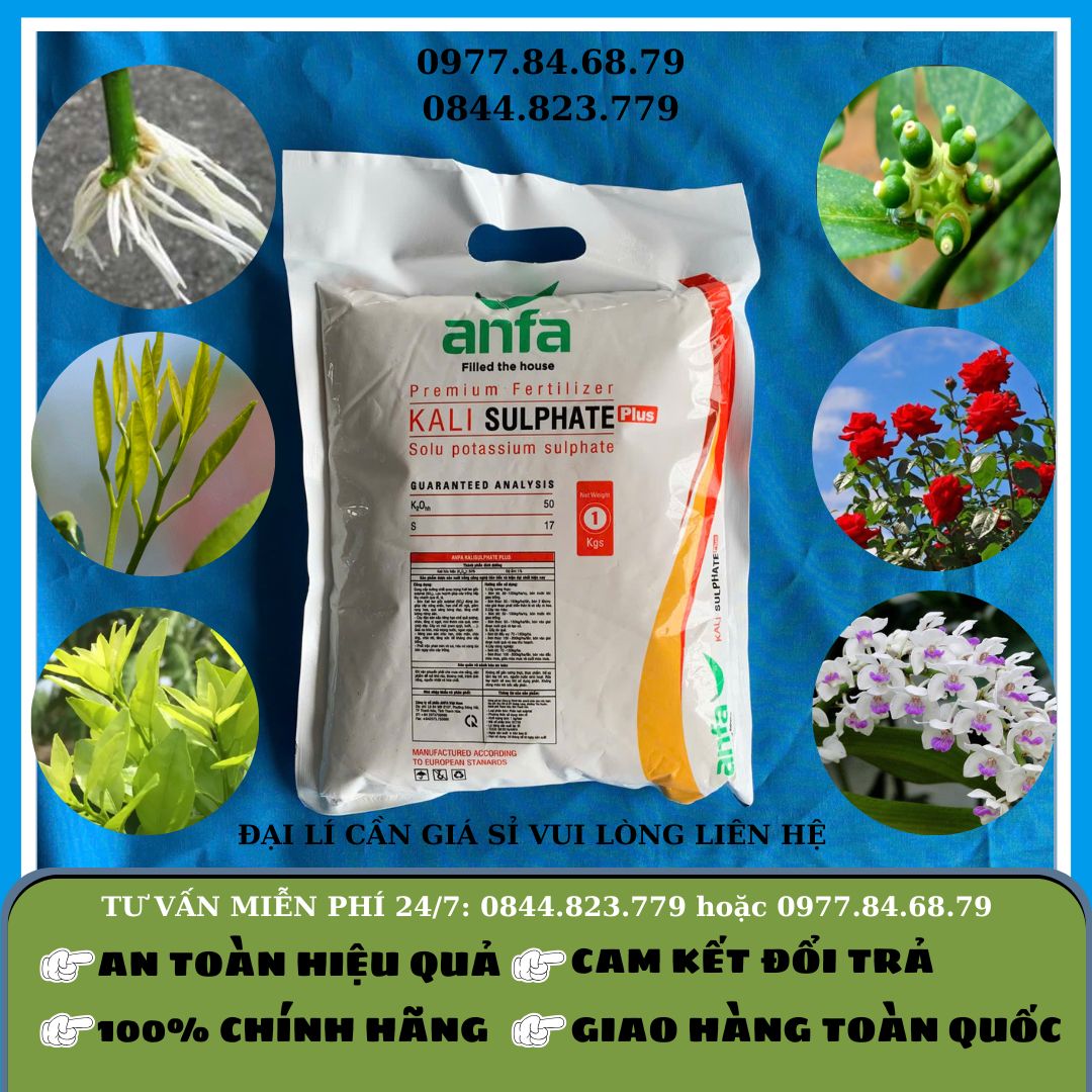 Kali Trắng Anfa 1kg