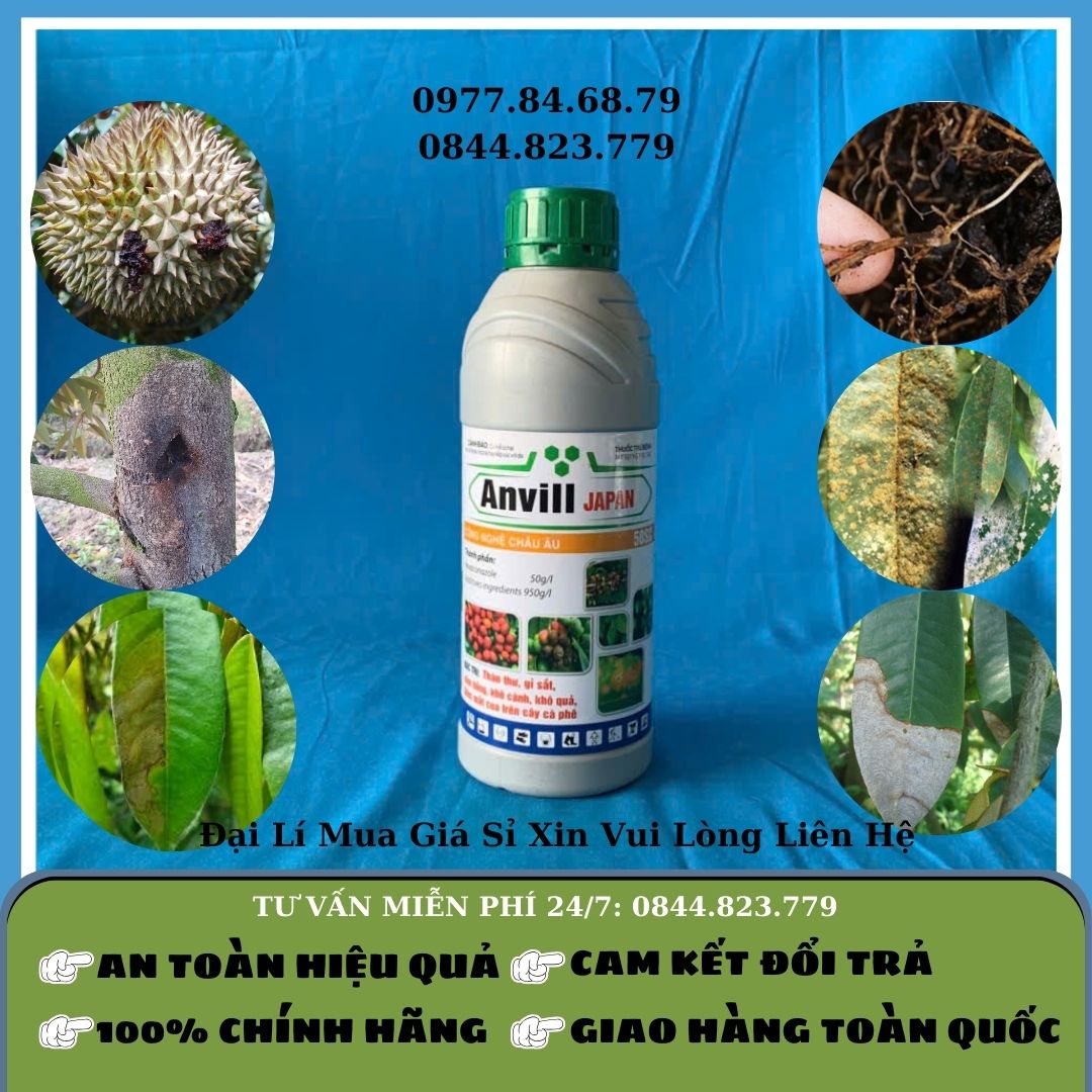Anvill Japan