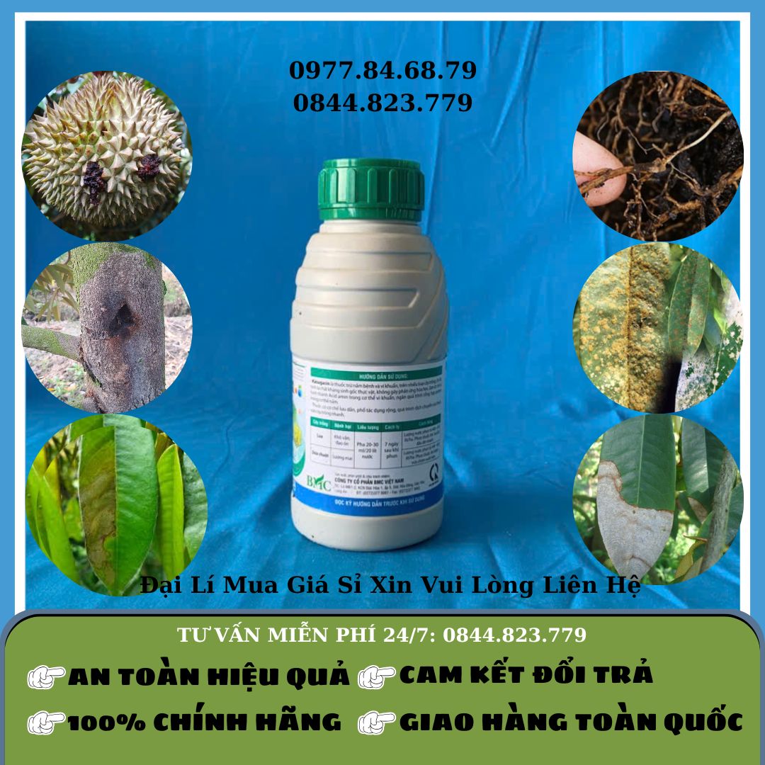 Kasugacin 3SL 450ml