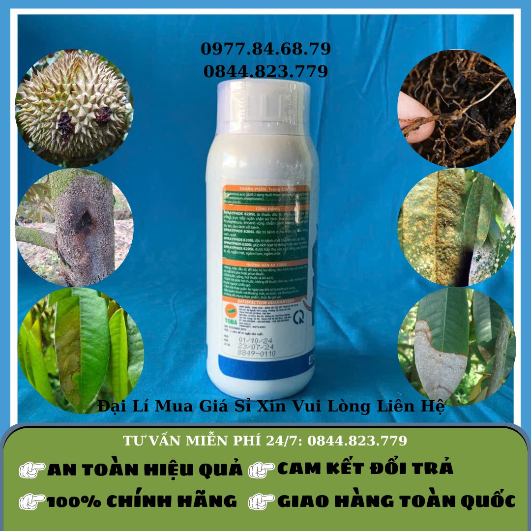 Trừ nấm Sprayphos 620 0.5l