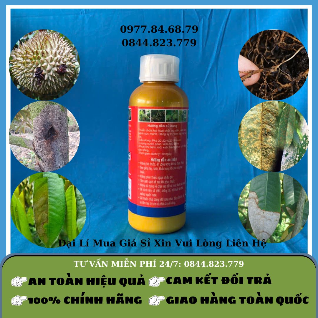 Thontrangvil 150 SC 800ml