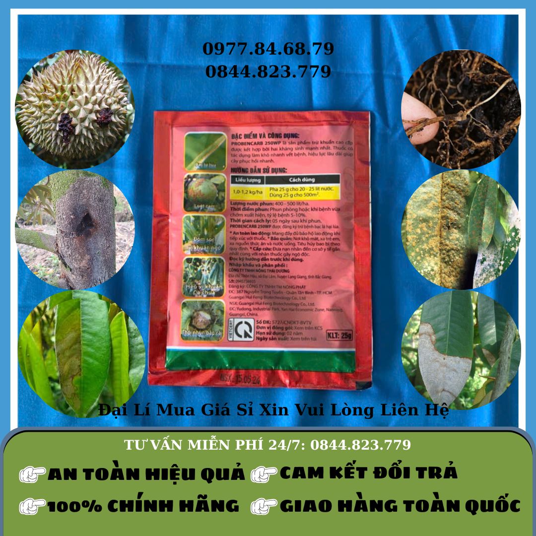 Sạch Khuẩn Probencarb