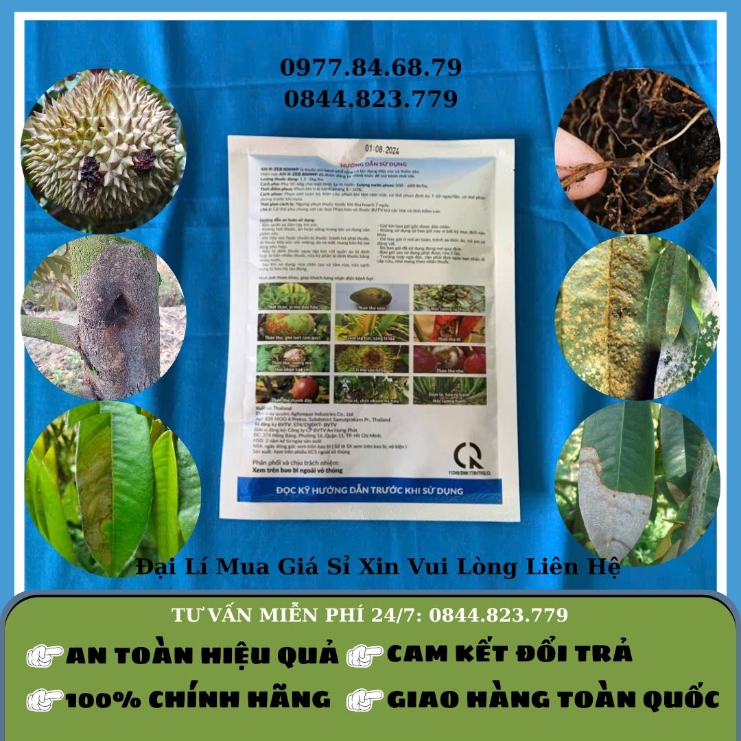 Vua Nấm Bệnh 100gr