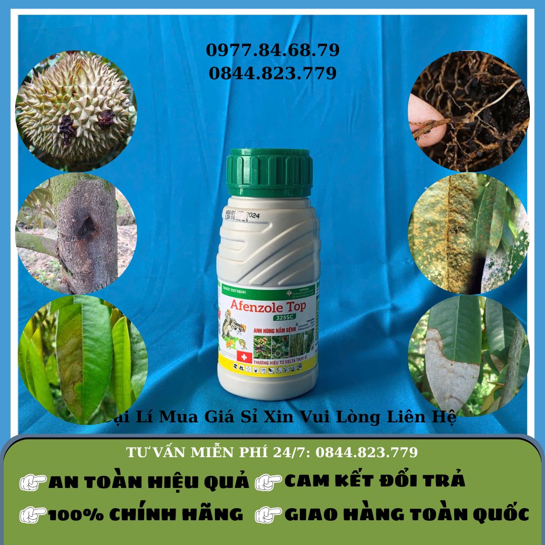 Afenzole Top 325SC 240ml