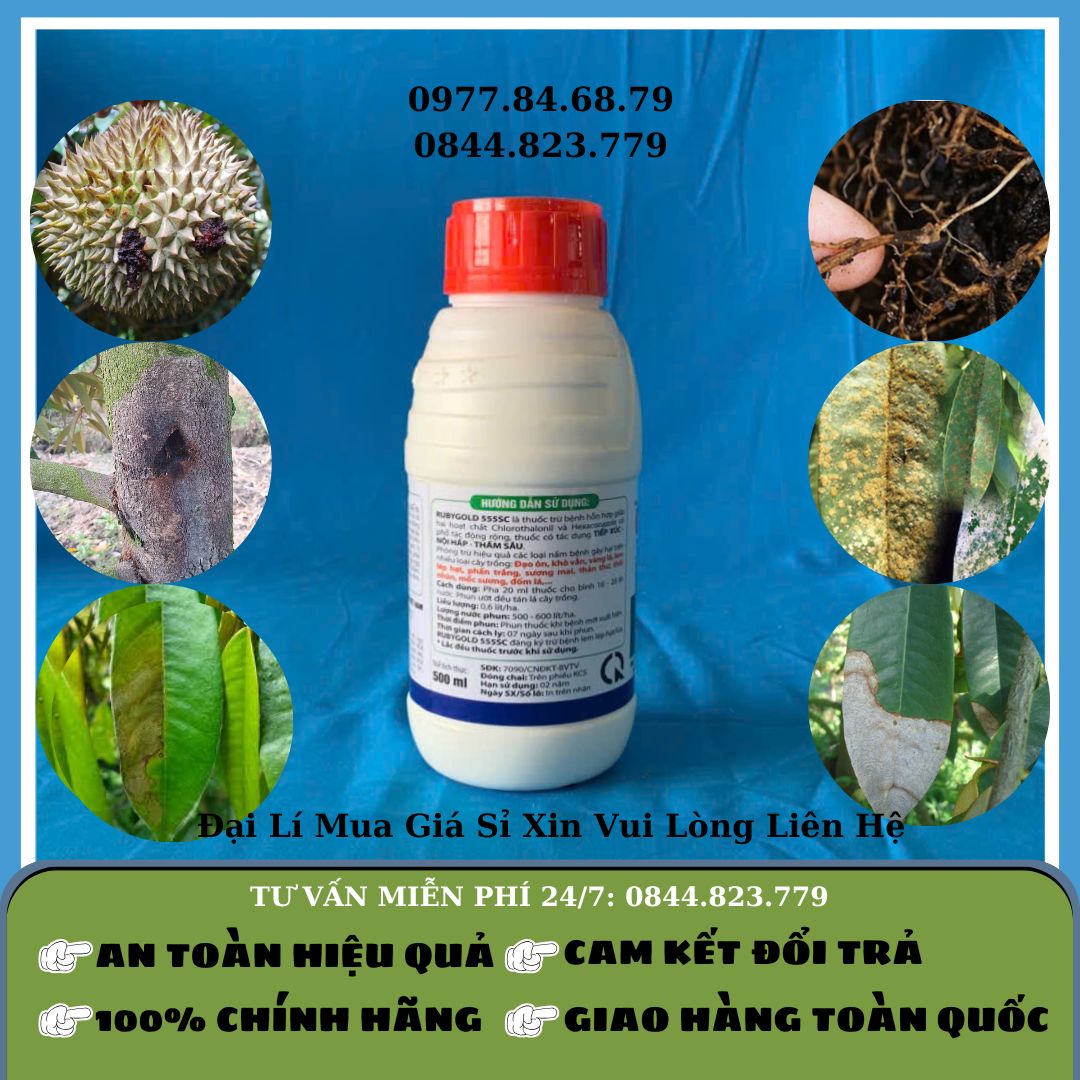 Cacbenzin 500ml