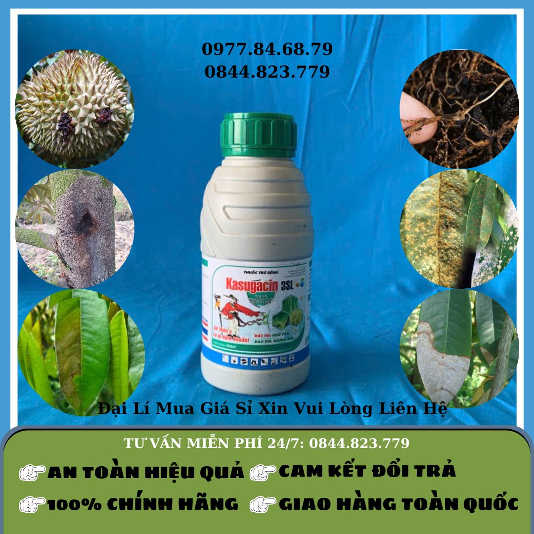 Kasugacin 3SL 450ml
