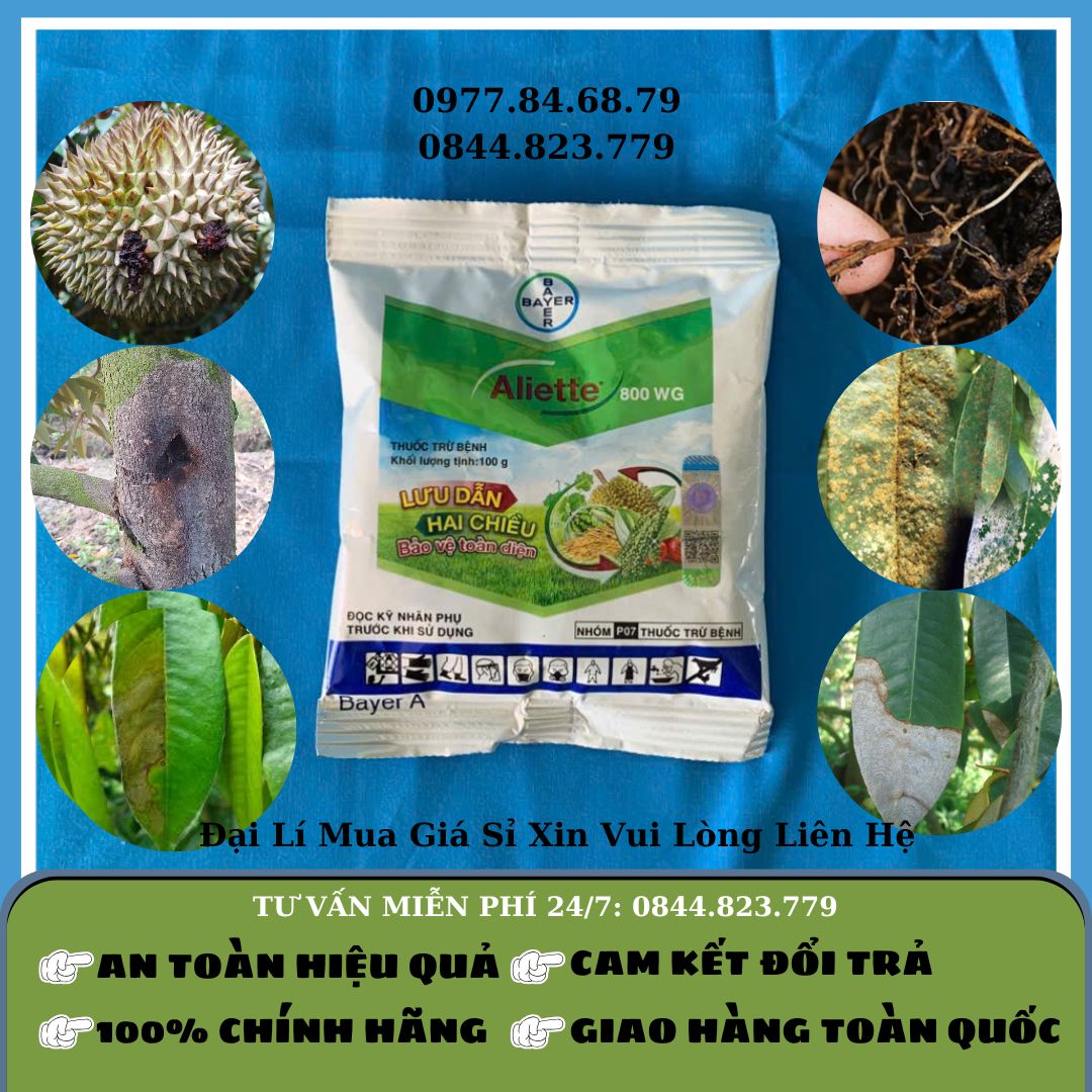Aliette 800WG 100gr