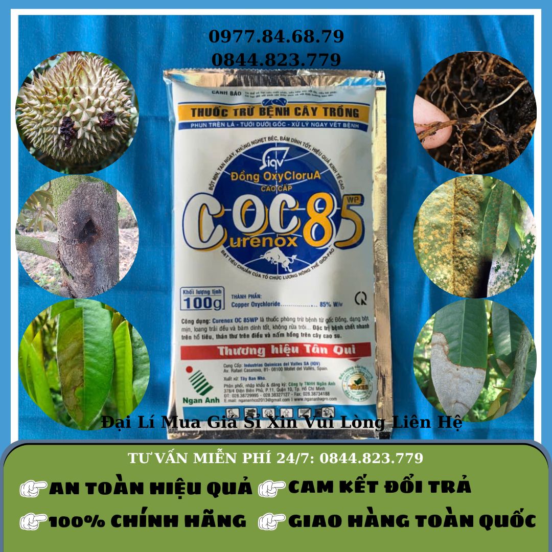 Coc 85 100gr