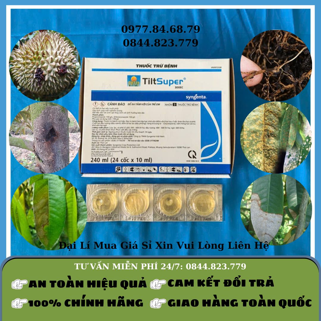 Tilt Super 10ml (hủ 10ml trong hộp 24 hủ)