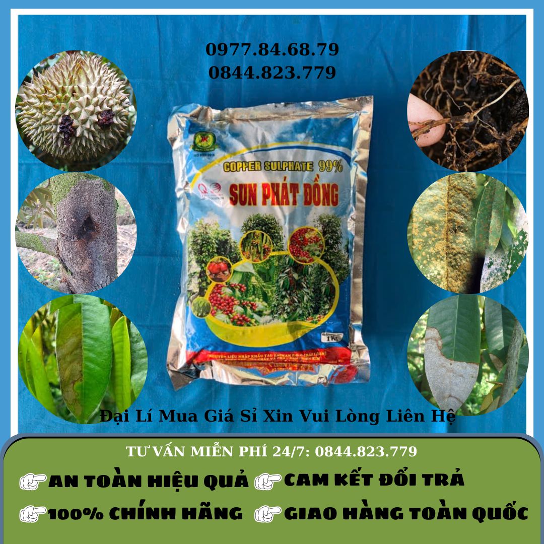 Sunphat Đồng 1kg