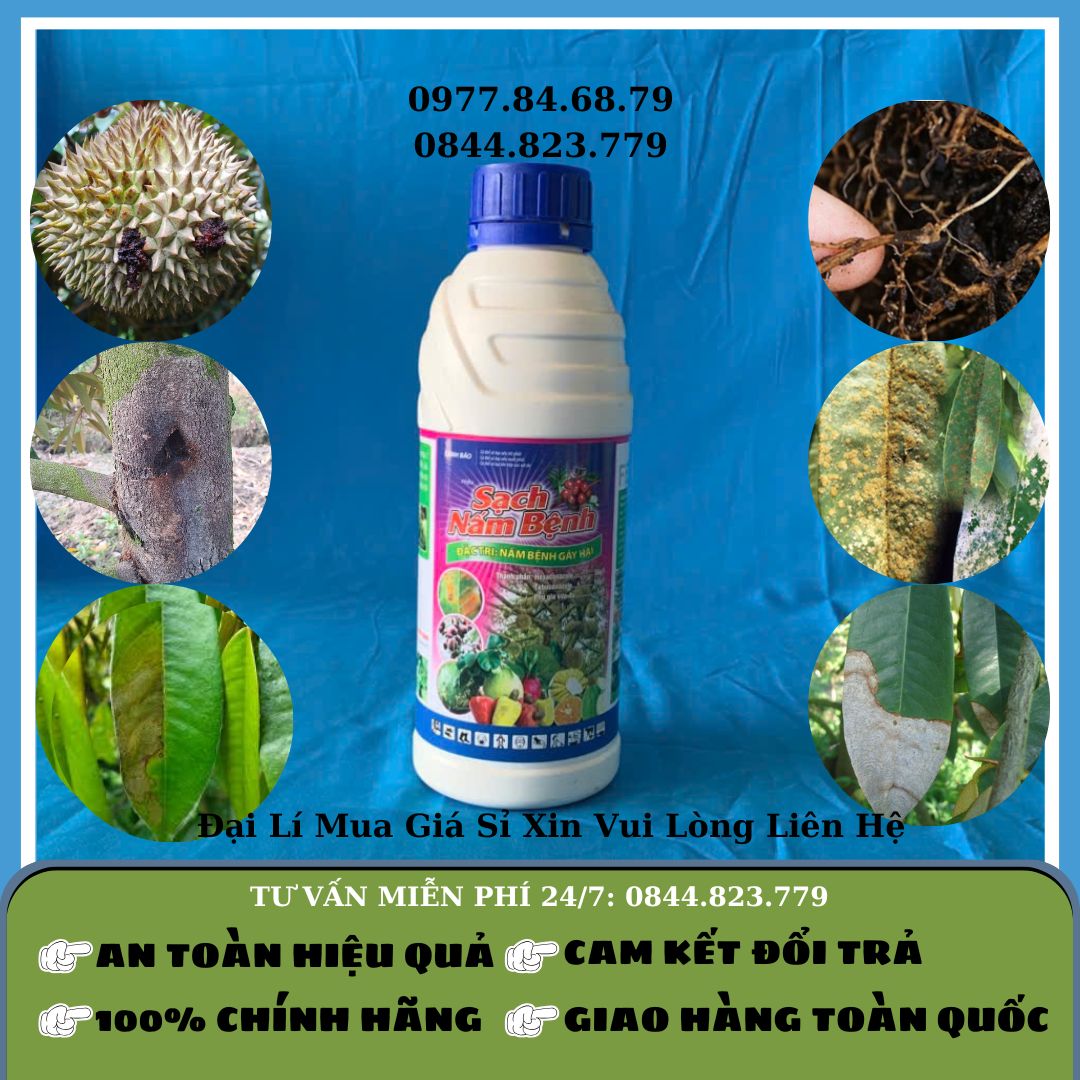 Siêu sạch nấm bệnh 480ml