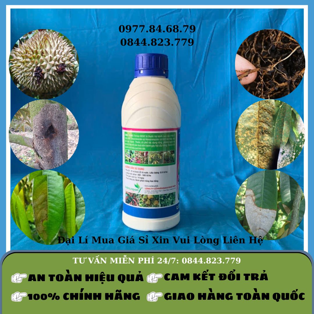 Siêu Sạch Nấm Bệnh Fressy 1 lít