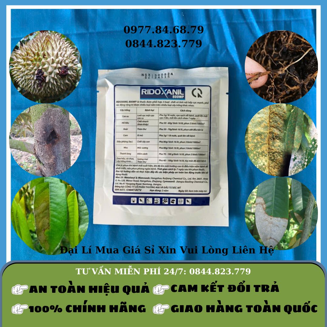 Ridoxanil