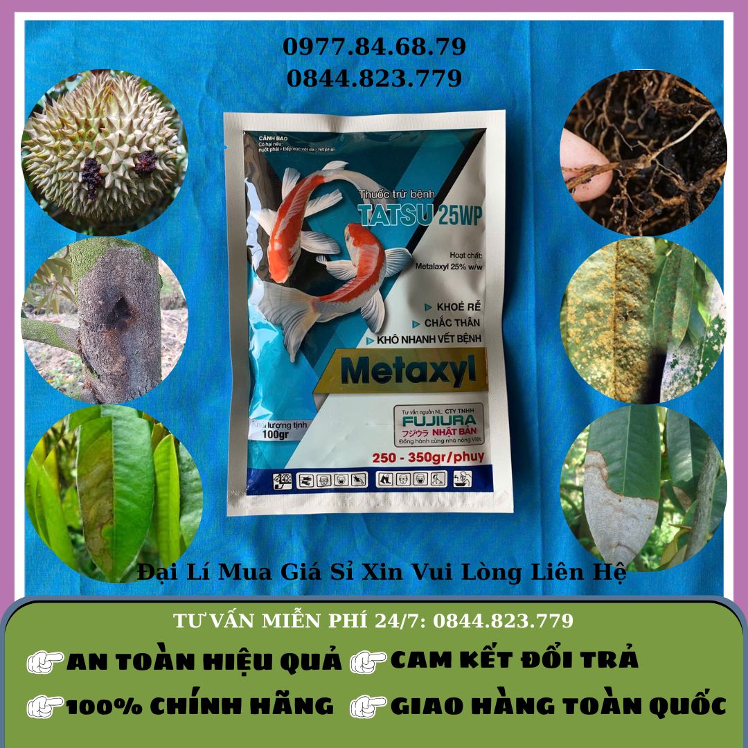 Tatsu Metalaxyl 100g