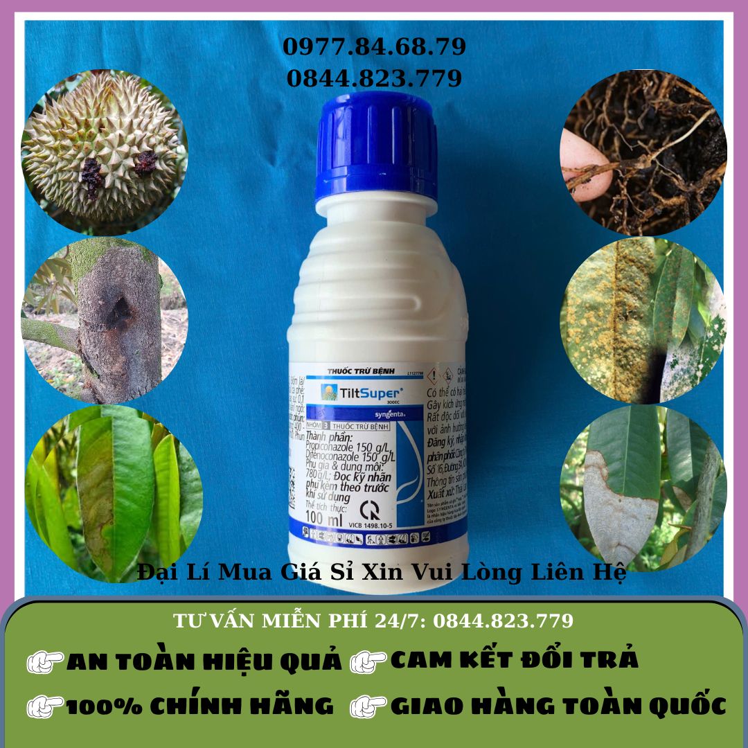 Tilt super chai 100ml