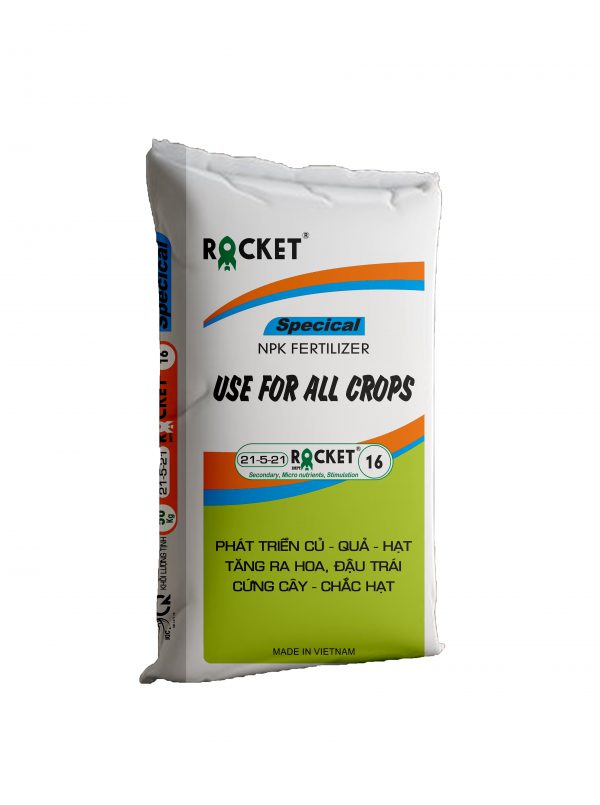 Rocket 21-5-21