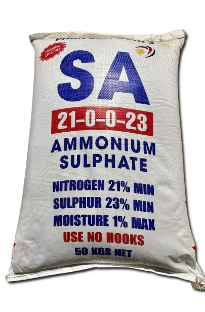 SA