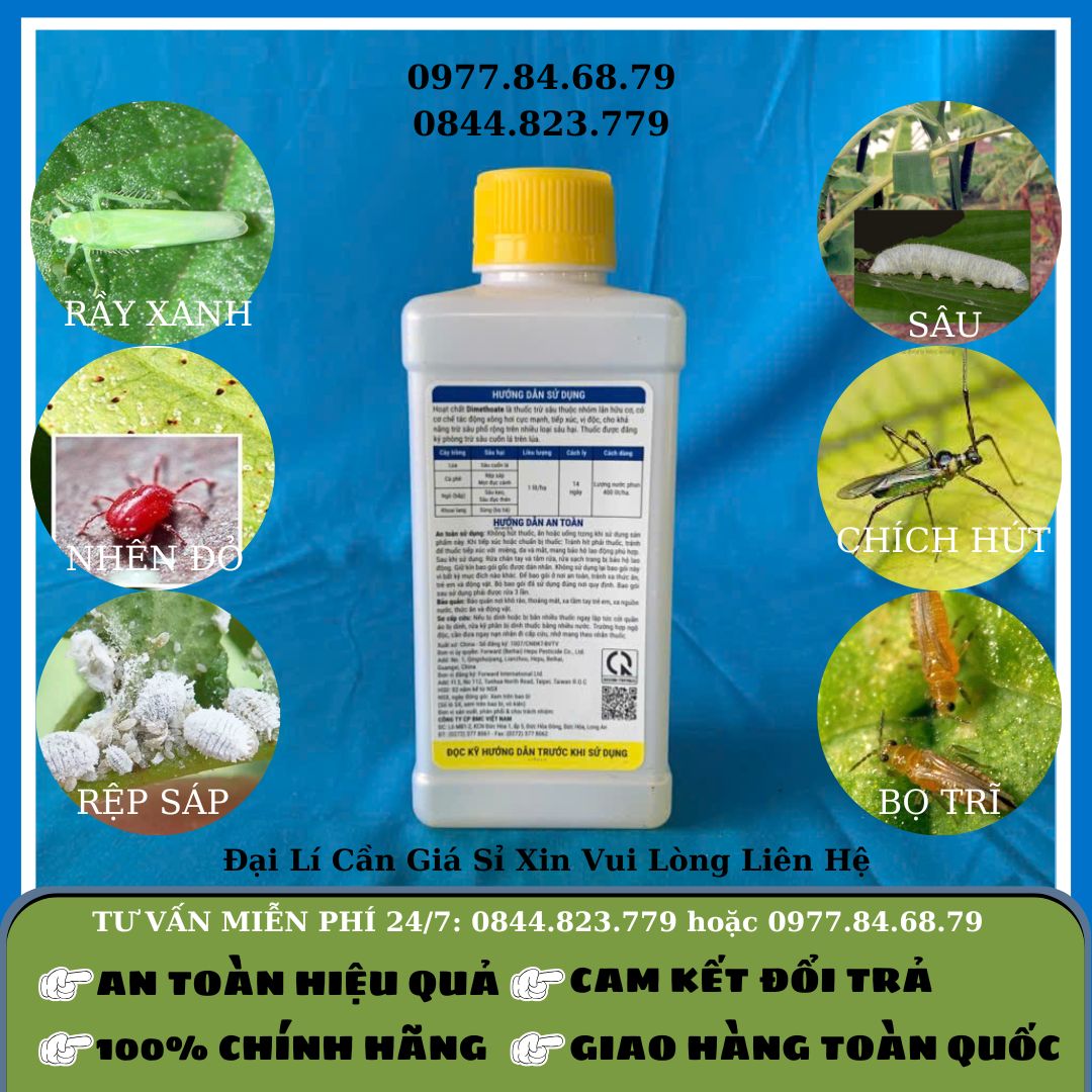 Trừ Sâu Forgon