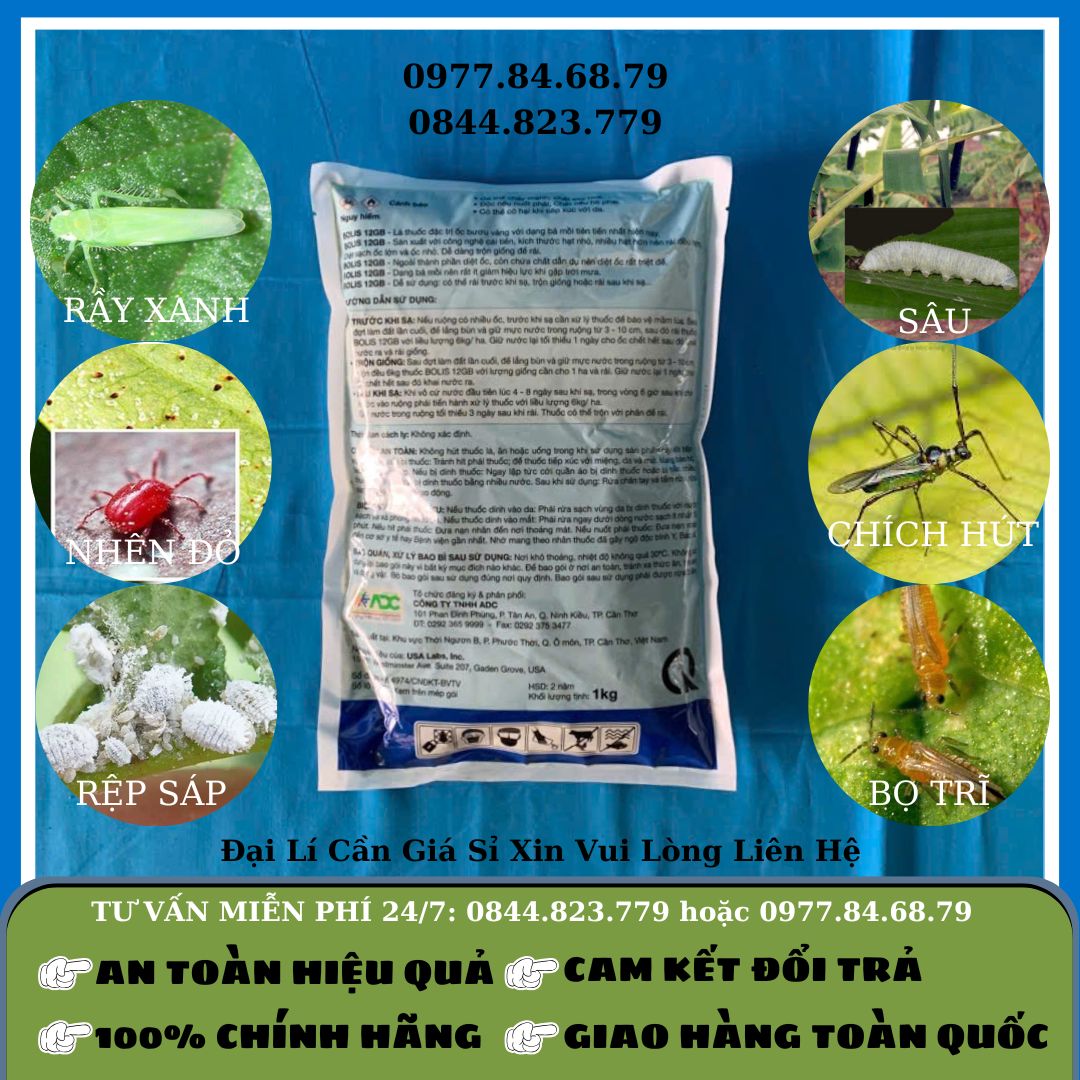 Bolis Ốc Sên 1kg