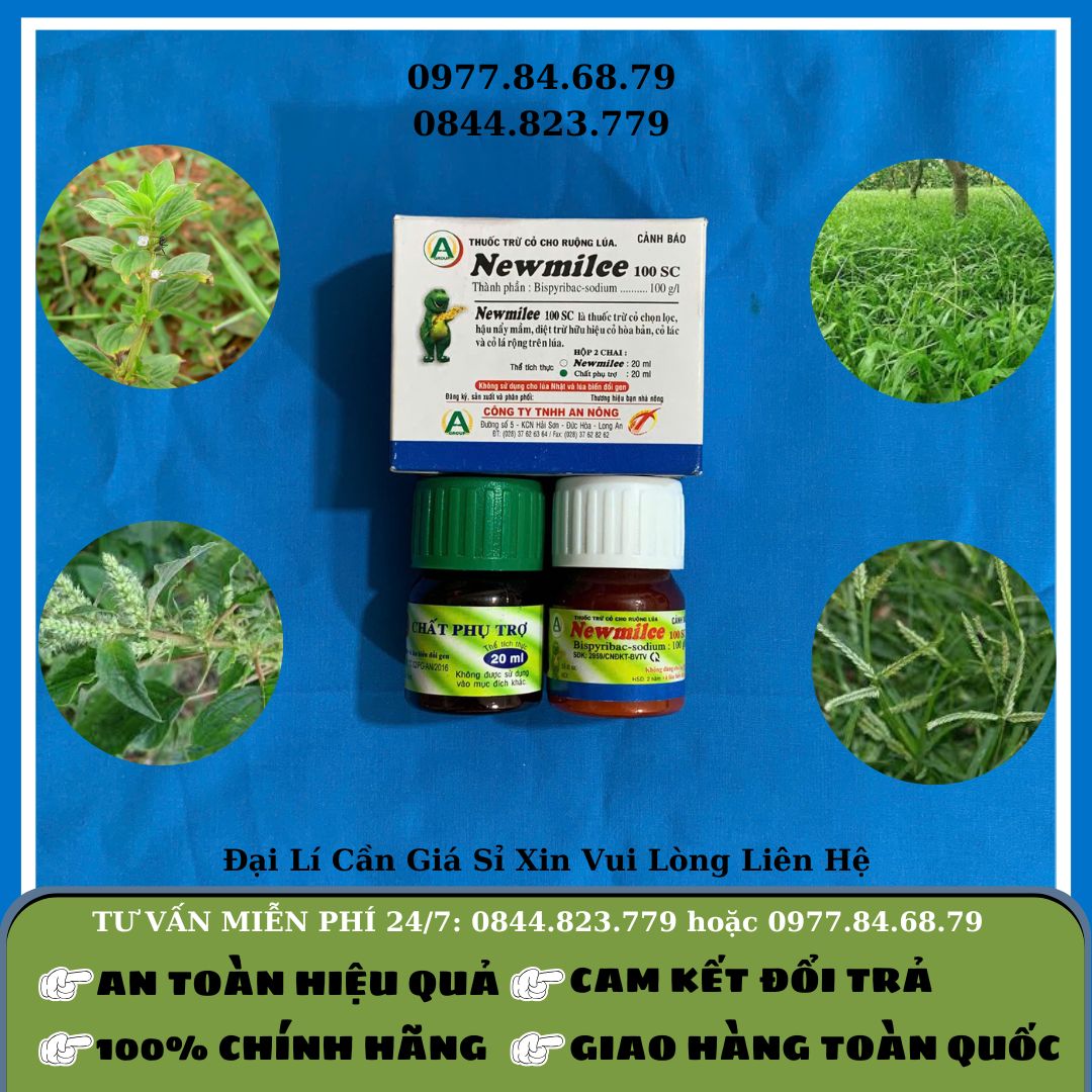 Thuốc Cỏ Hộp Newmilee