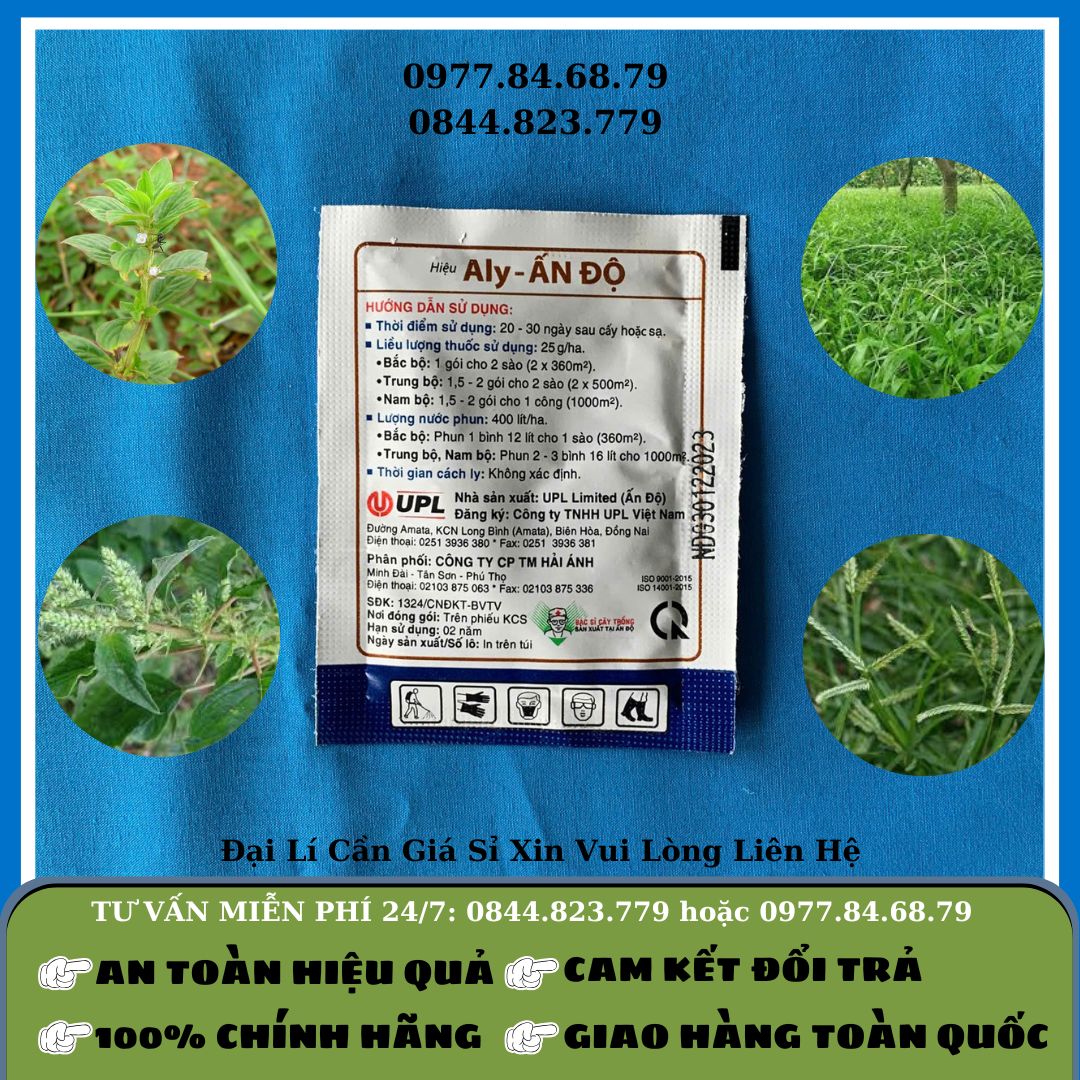 Cỏ Gói Ally
