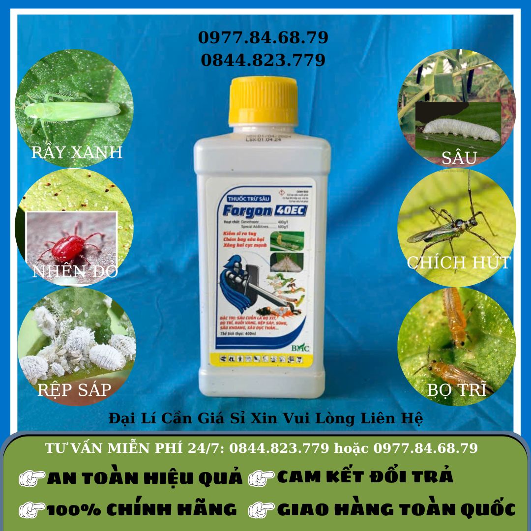 Trừ Sâu Forgon