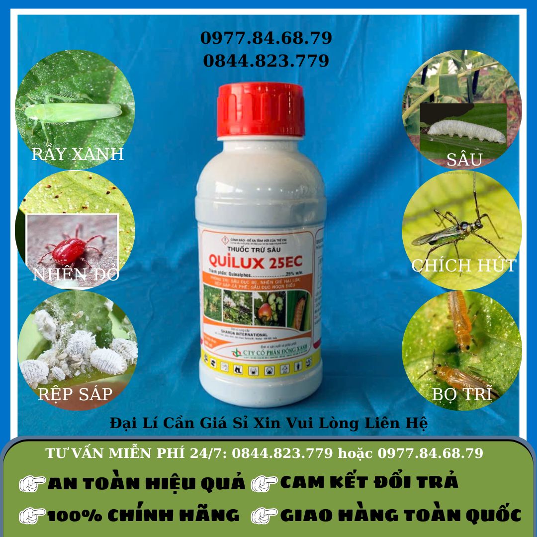Quilux 25EC Chai 480ml