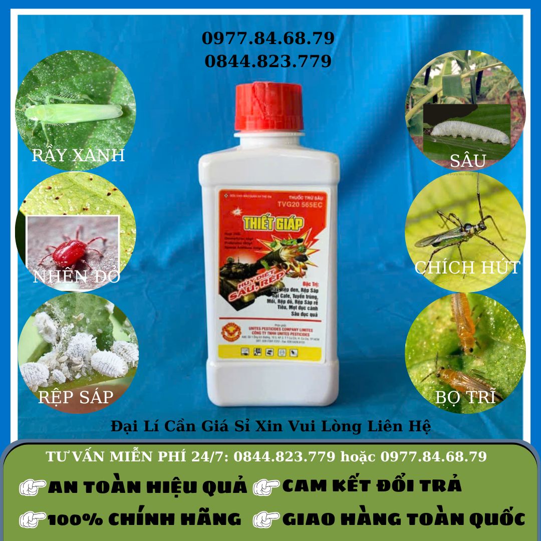 Thiết Giáp hủy diệt Sâu, Rệp