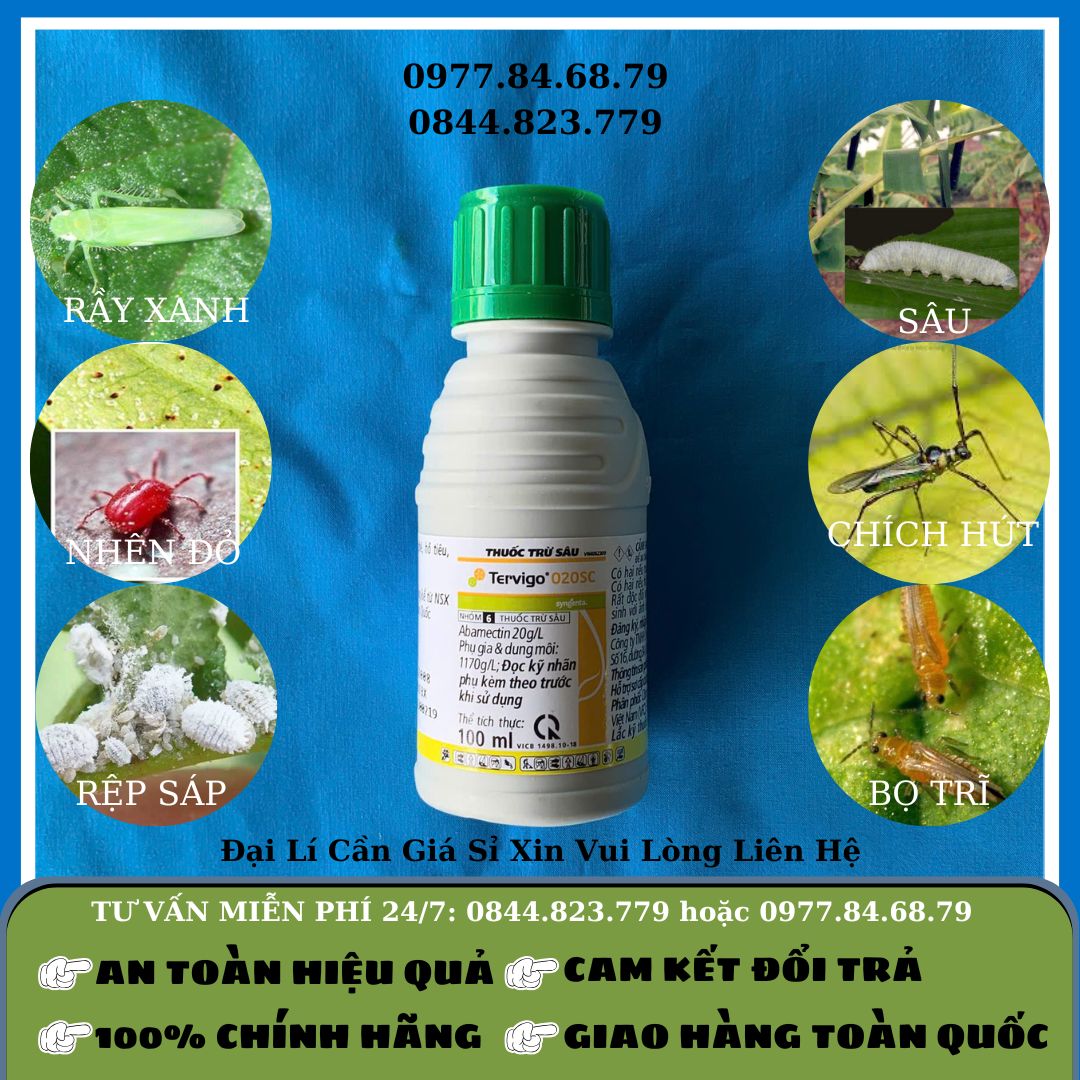 Tervigo 100ml