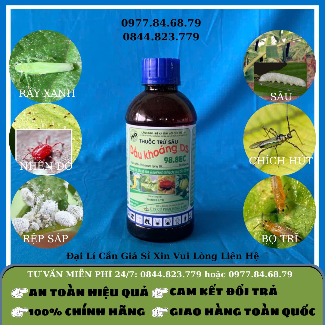 Dầu Khoáng DS 98%