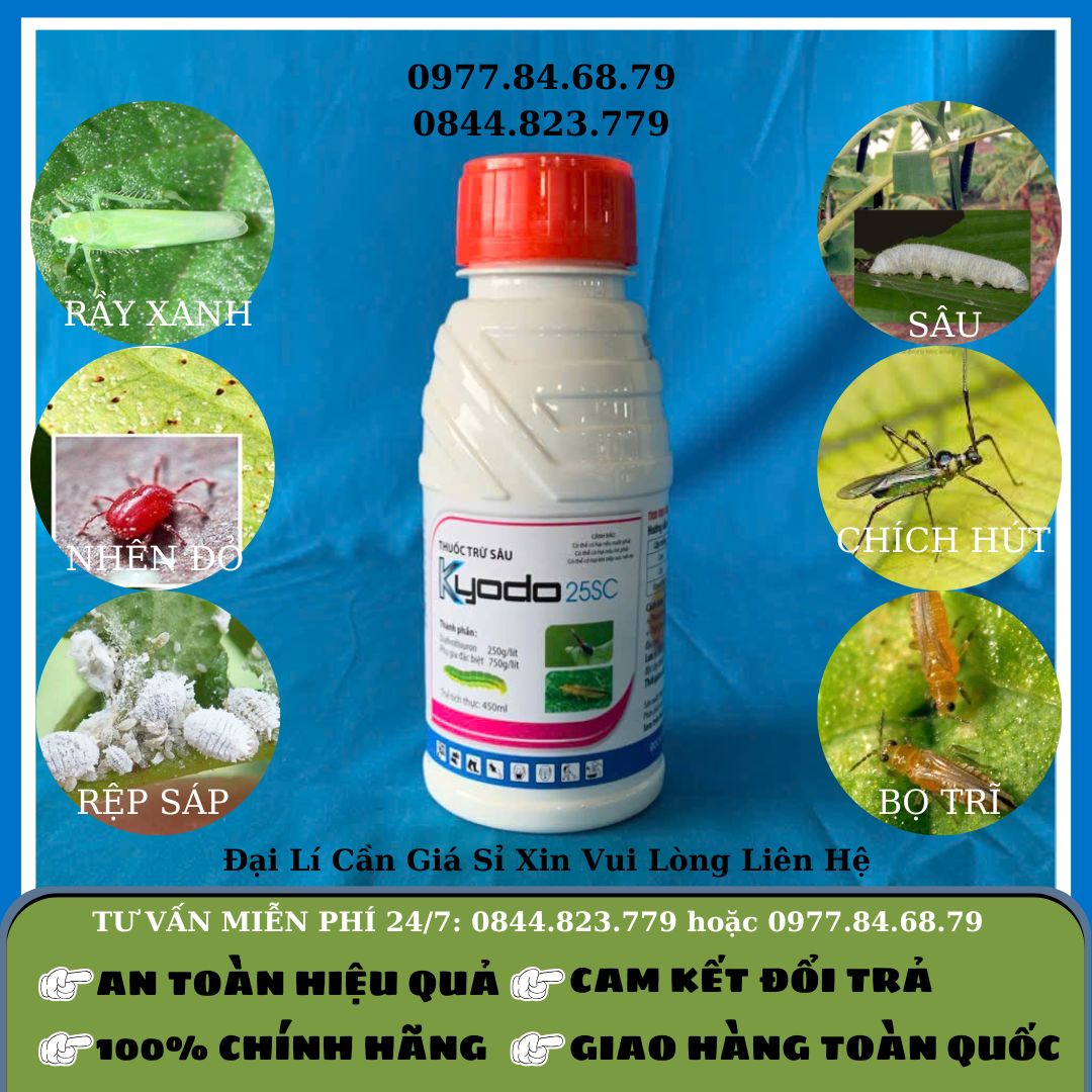 Kyodo 25SC 450ml